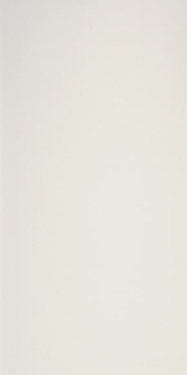 Neve — Collection: керамогранит Laminam