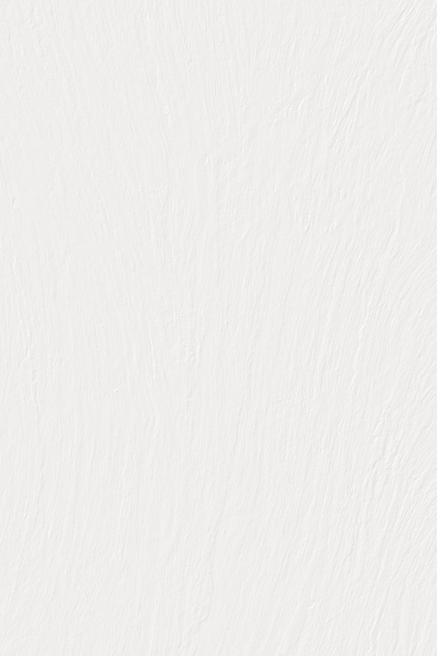 Ardesia Bianco — I Naturali: керамогранит Laminam